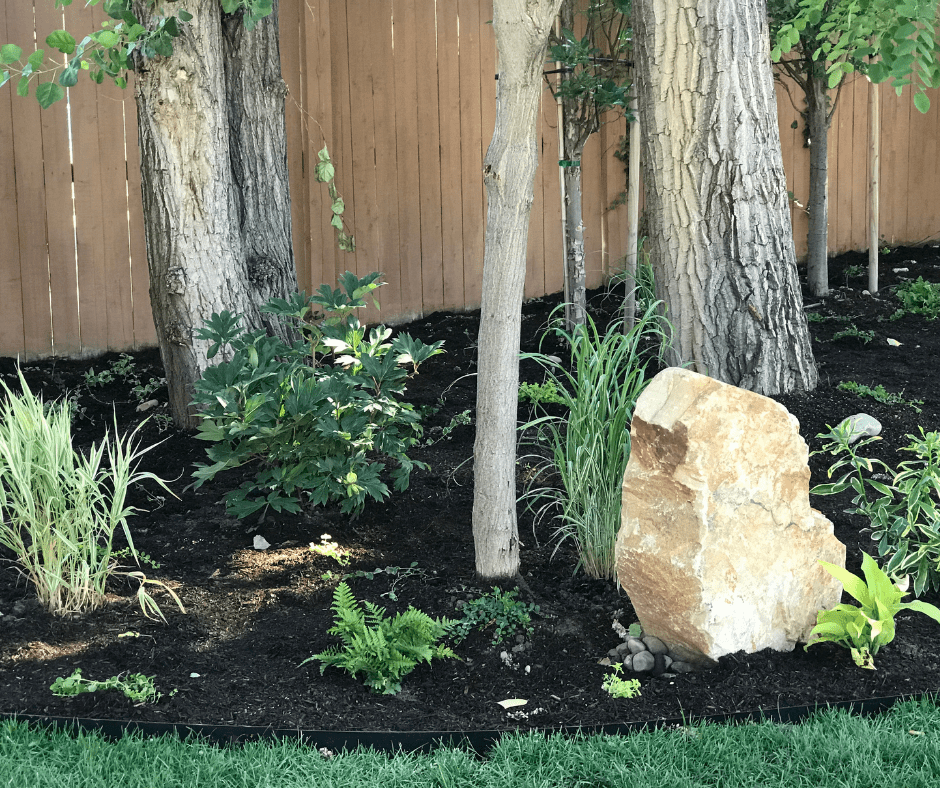 Landscape scene for Zen Garden. Edging separates grass from mulch. Green plants such as ferns, hostas, and tall grasses, trees, boulders. A peaceful and natural landscape green space