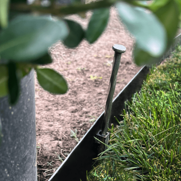 landscape scene with metal edging, a stake, grass, and a plant for context 