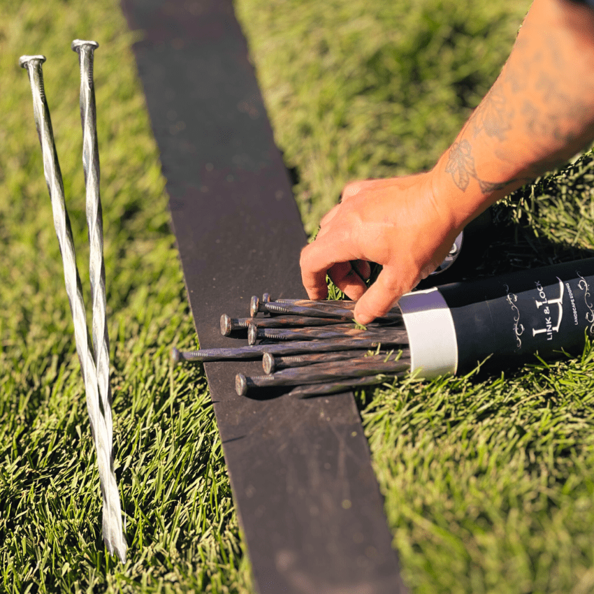 steel nails that are 10 inches long, being used as landscape edging anchoring stakes, to install 4 inch tall edging